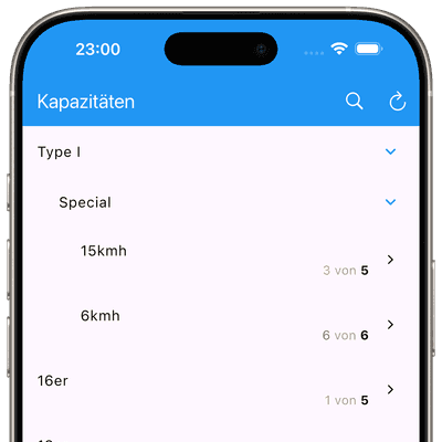 Screenshot: Kapazitäten
